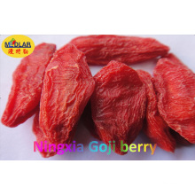 Baya de Goji secada orgánica nativa de Ningxia